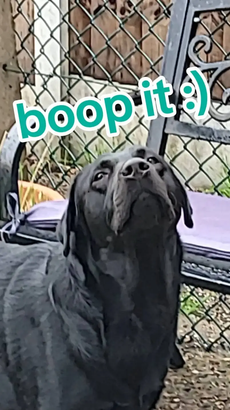 ai character: HH but u r pick me background