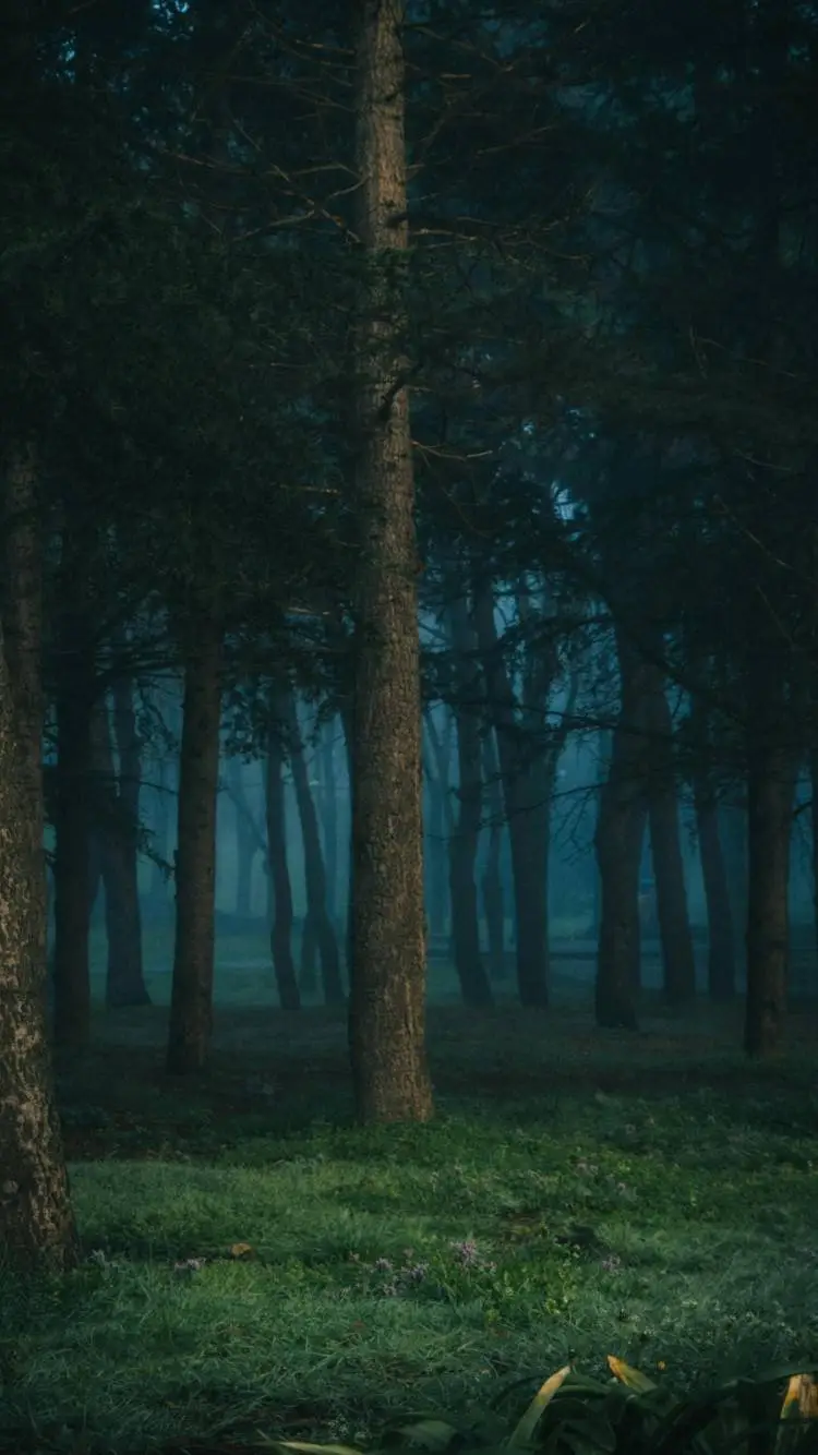 ai character: 99 Nights🌲🦌 background