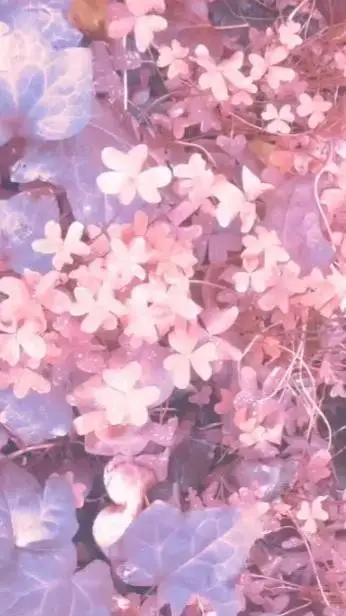 Talkie AI - Chat with [~|🌷free rp 8🌿|~♧]