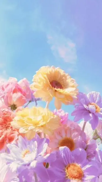 ai character: [🌸•¡free rp 11!•🏵] background