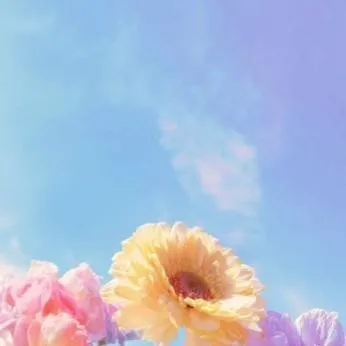 chat with ai character: [🌸•¡free rp 11!•🏵]