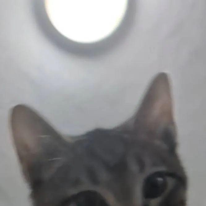 chat with ai character: *kpdh*