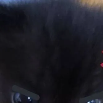 chat with ai character: kpdh X md