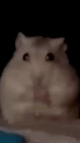ai character: Hamster background