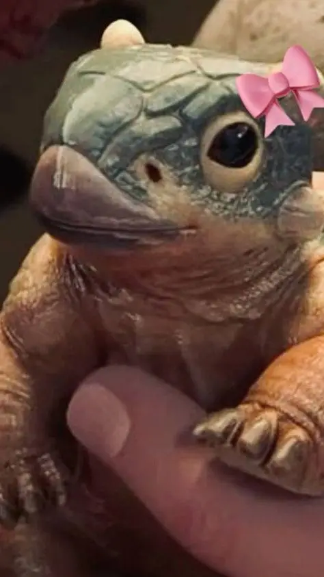 ai character: Bumpy :v background