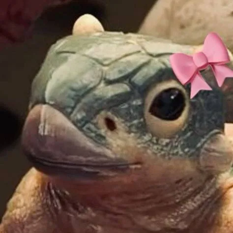 chat with ai character: Bumpy :v