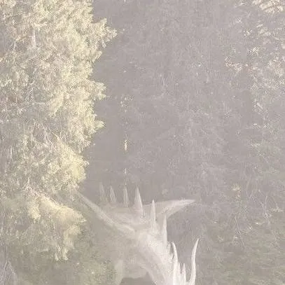 chat with ai character: Dw pesca