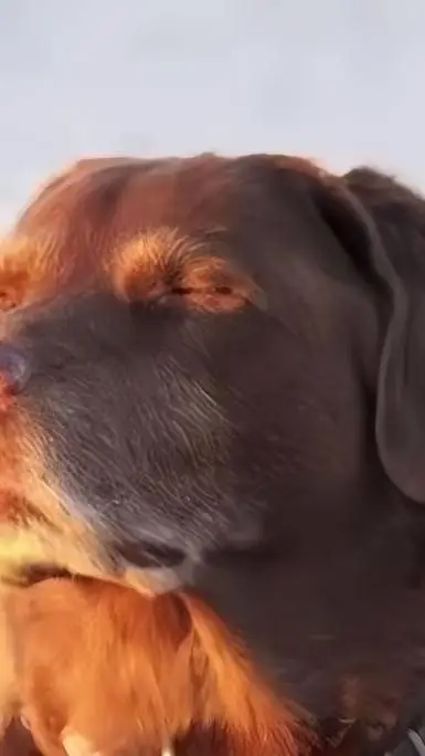 ai character: close eyes background