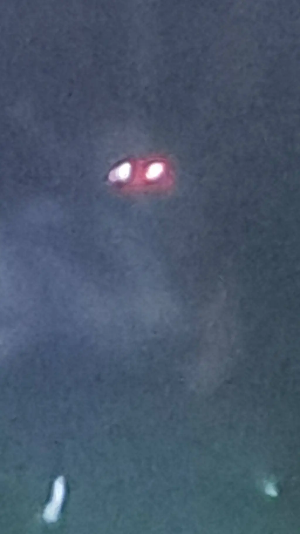 ai character: skinwalker boy background