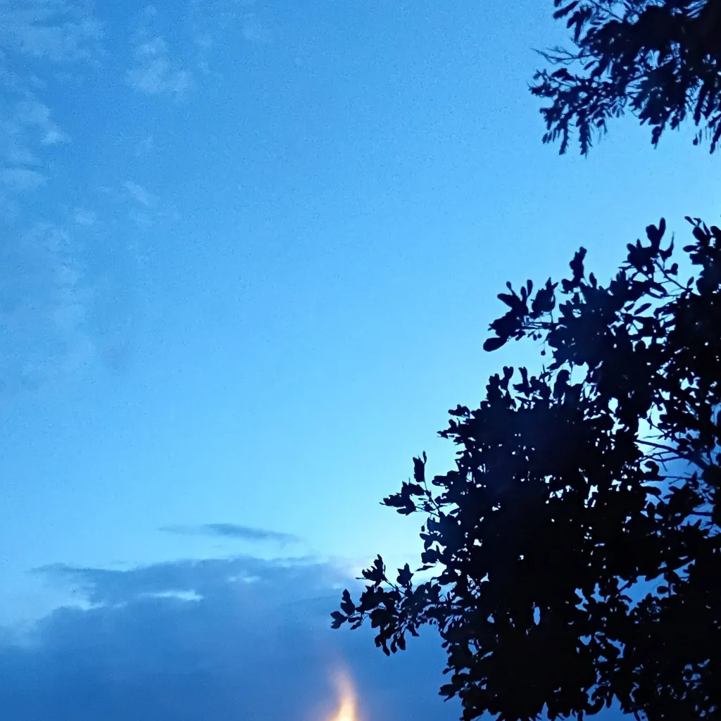 chat with ai character: Yandere 1x4(you)