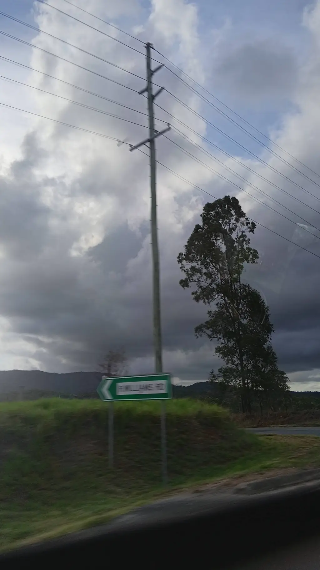 ai character: Dandys world background