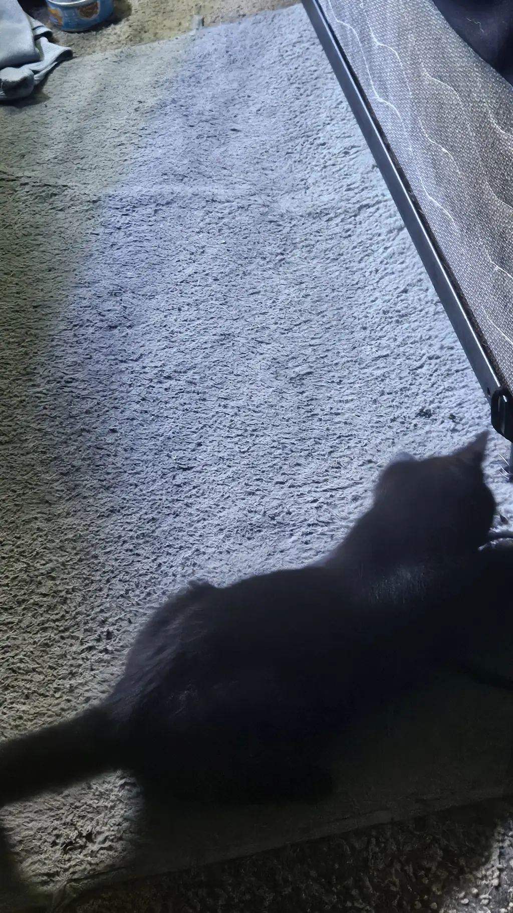 ai character: Crowley  background