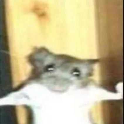 chat with ai character: șobolanu din Ohio