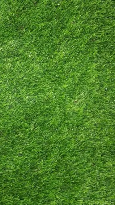 ai character: GRASS background