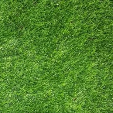 chat with ai character: GRASS