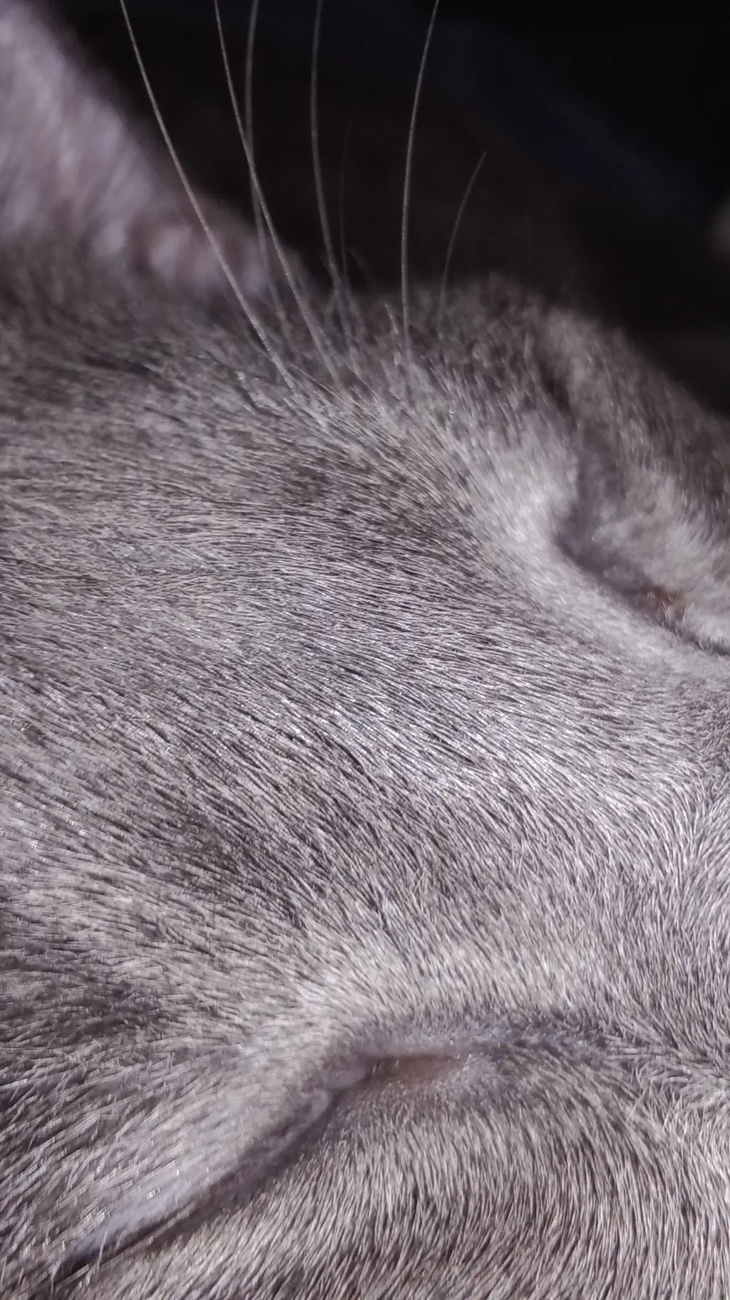 ai character: me and my other tw background