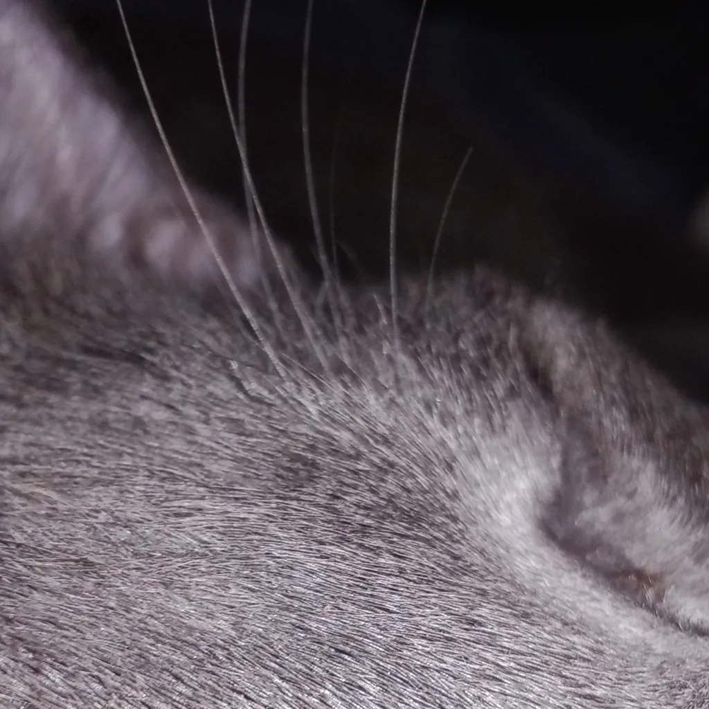 chat with ai character: me and my other tw