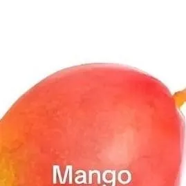 chat with ai character: mango