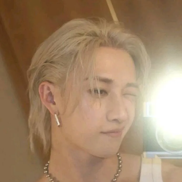 chat with ai character: Chan