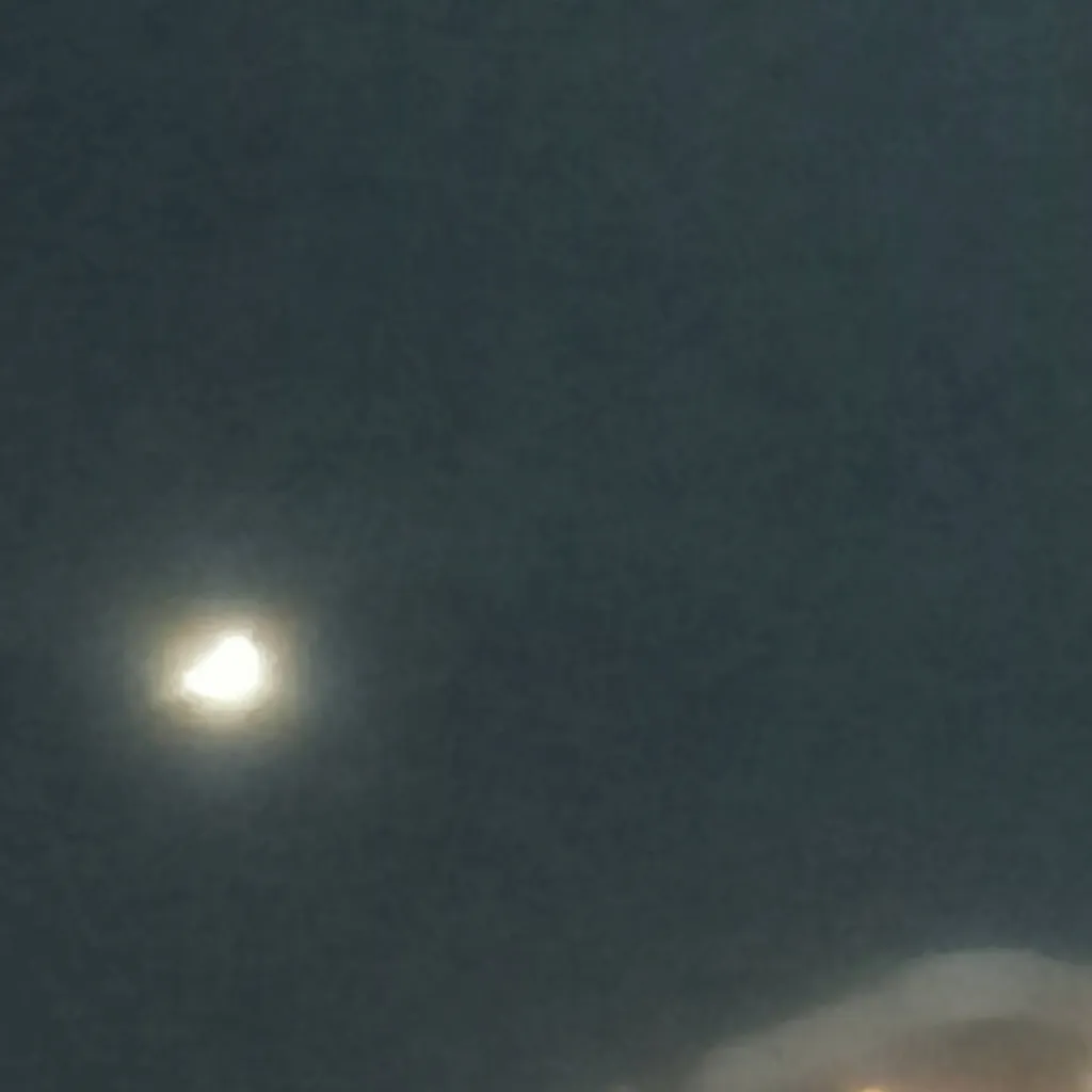 chat with ai character: Fem infection°-°