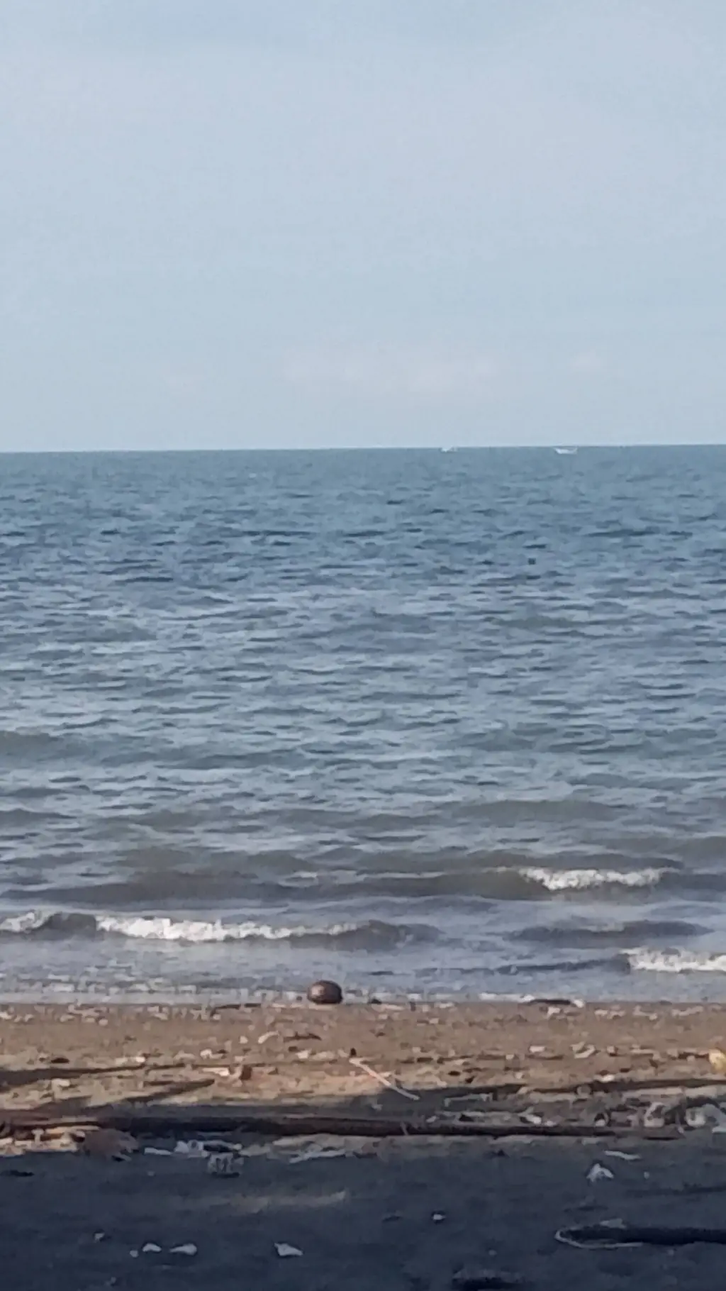 ai character: K-pop group! background