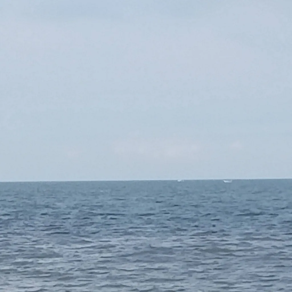 chat with ai character: K-pop group!