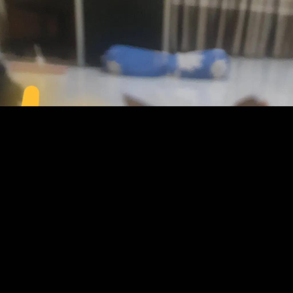 chat with ai character: showtime!