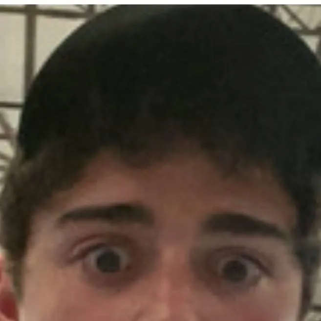 chat with ai character: Noah schnapp!