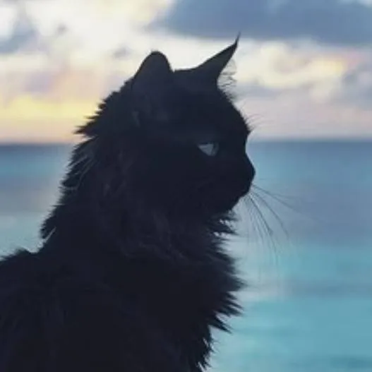 chat with ai character: -Dawnclan- 