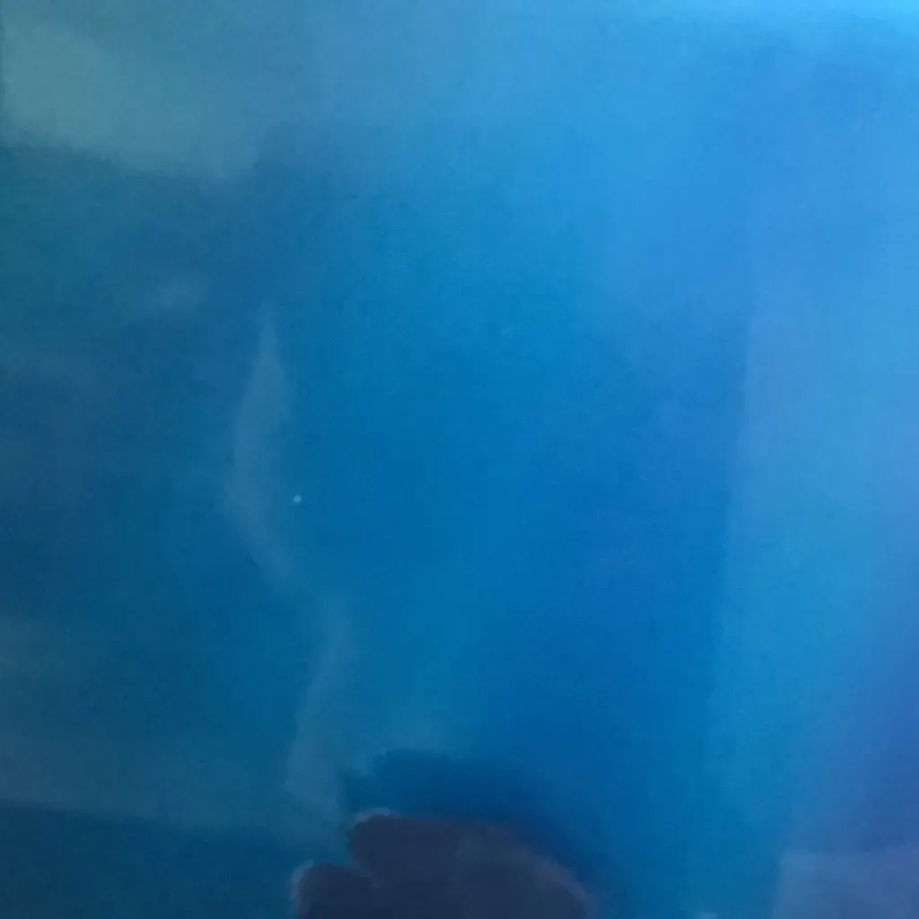 chat with ai character: Poll! 