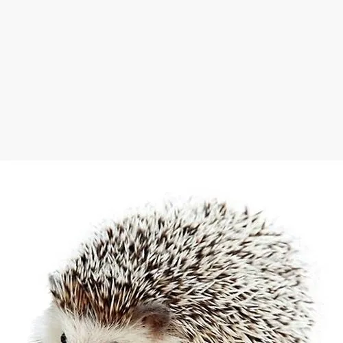 chat with ai character: Carl