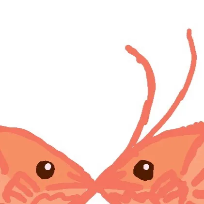 chat with ai character: Shrimp 🍤