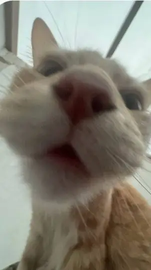 ai character: Sammy x jandel?💔 background