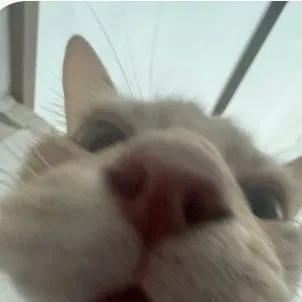 chat with ai character: Sammy x jandel?💔