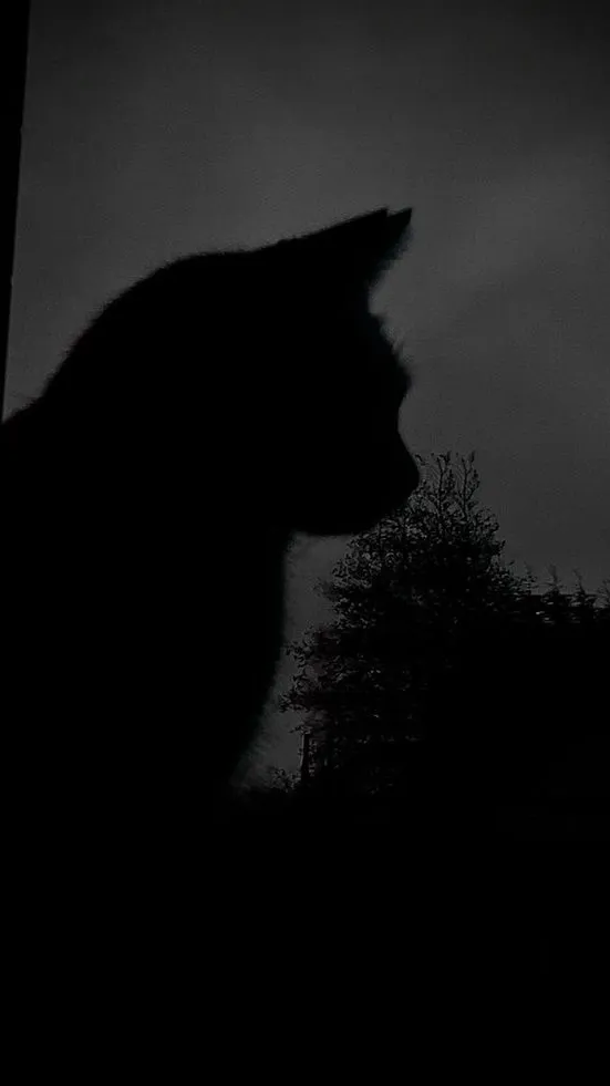 ai character: Idk background