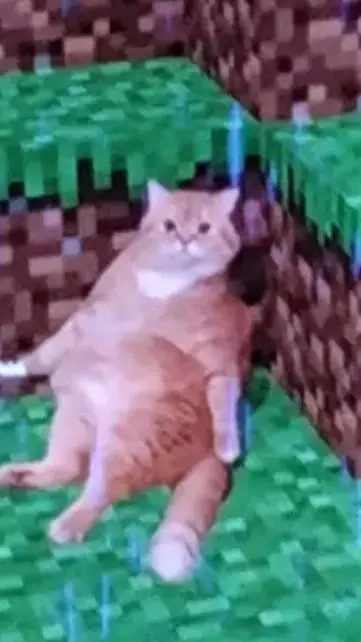 ai character: cat background