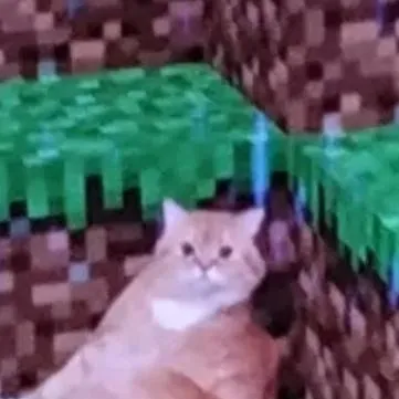 chat with ai character: cat