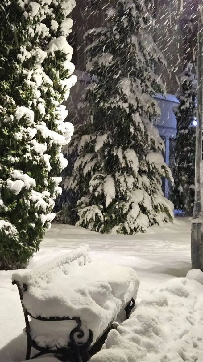 ai character: GIVE TALKIE IDEAS background