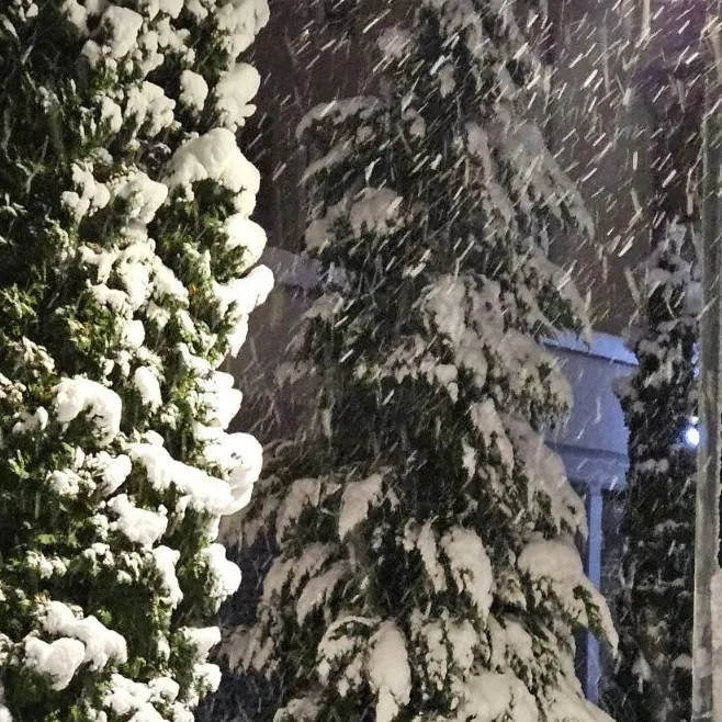 chat with ai character: GIVE TALKIE IDEAS