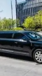 ai character: limo background