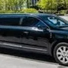 chat with ai character: limo