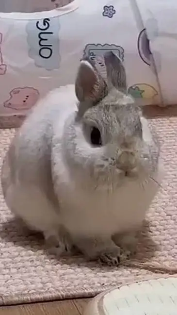 ai character: Shelly x you :D background