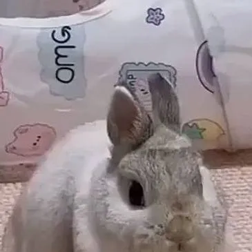 chat with ai character: Shelly x you :D