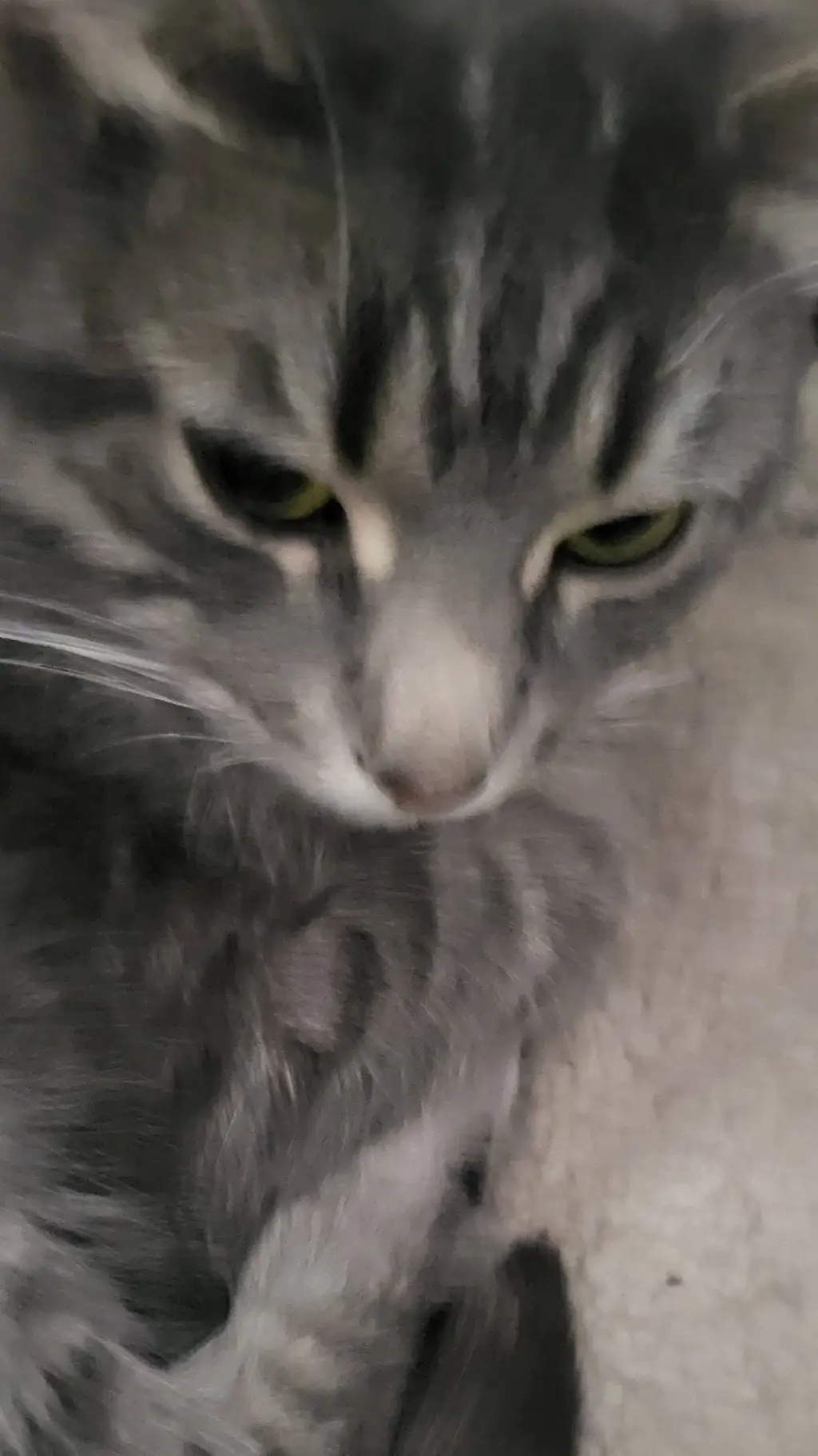 ai character: your cat background