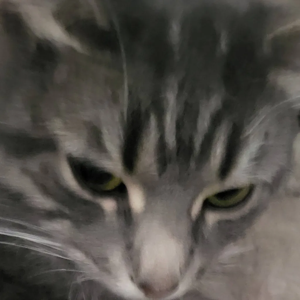 chat with ai character: your cat