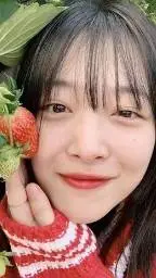 ai character: Sulli background