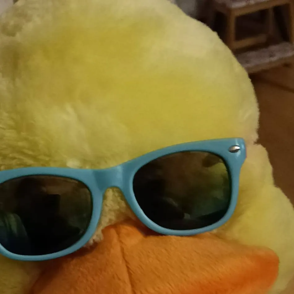 chat with ai character: Nathalie the duck🐤