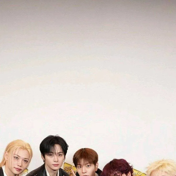 chat with ai character: Stray kids 