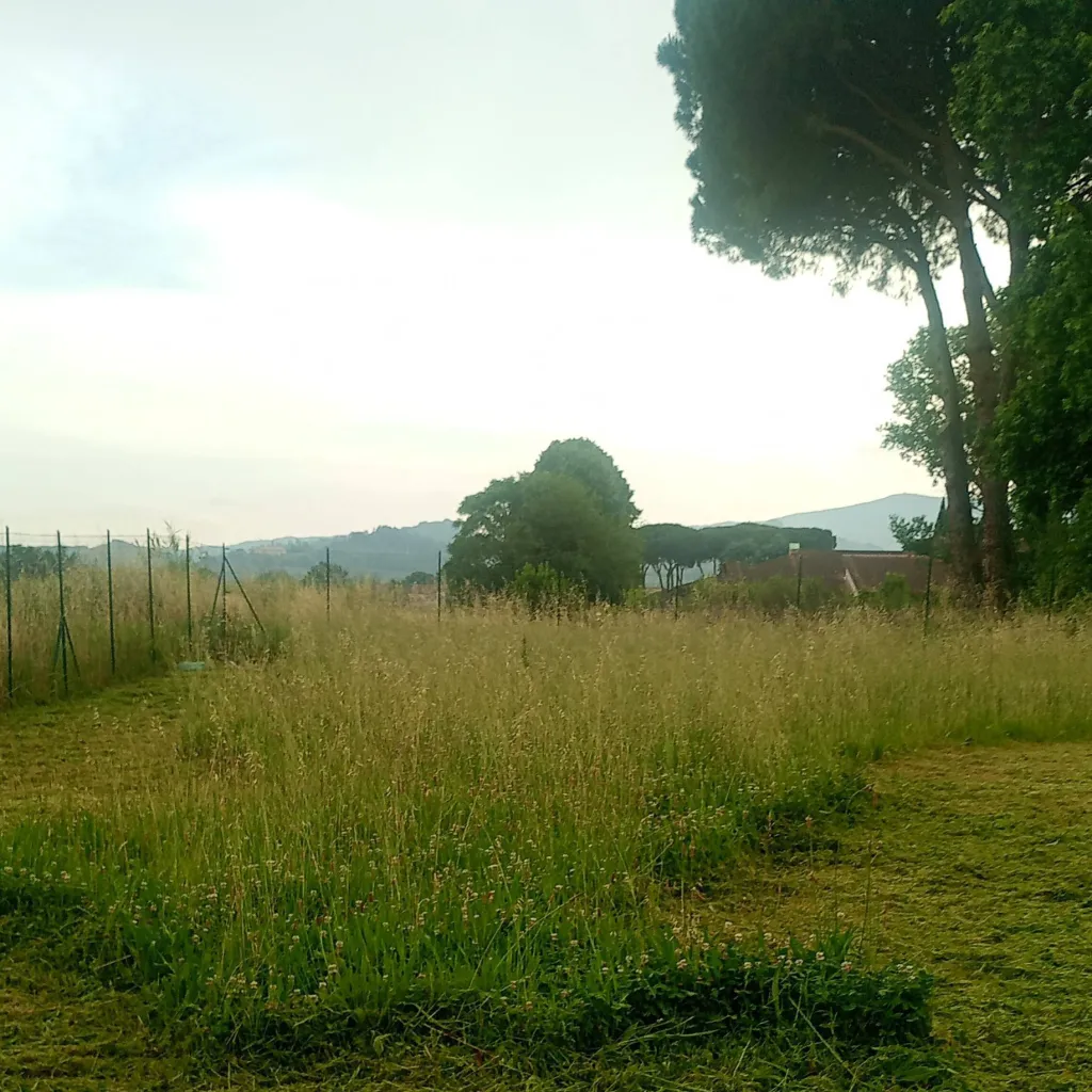 chat with ai character: Campeggio da sola