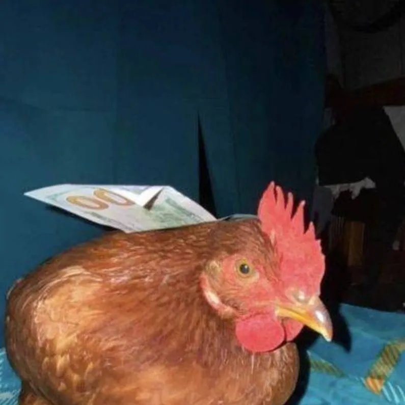 chat with ai character: tu pana el pollo